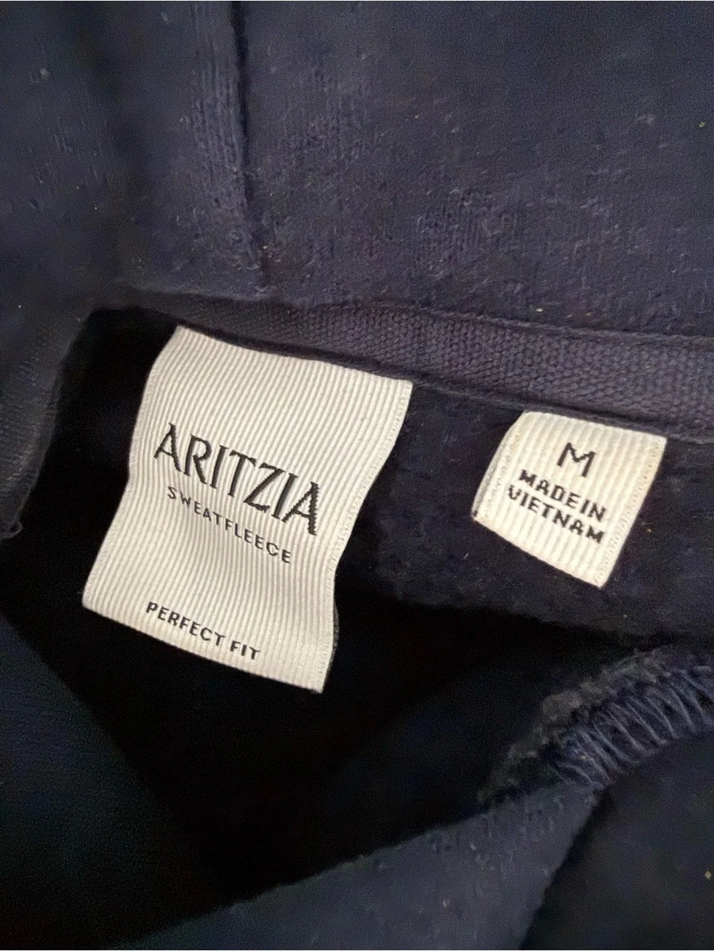 Aritizia cozy sweat fleece perfect hoodie